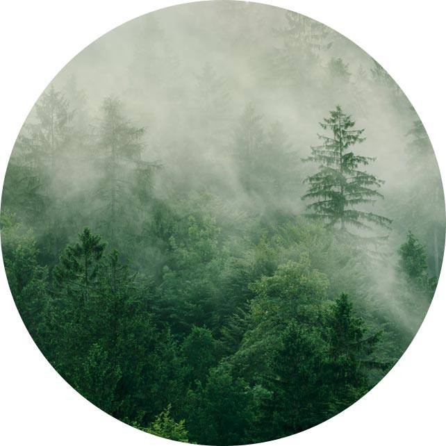 Yangzhou Suxiang Medical Instrument Co, Ltd.